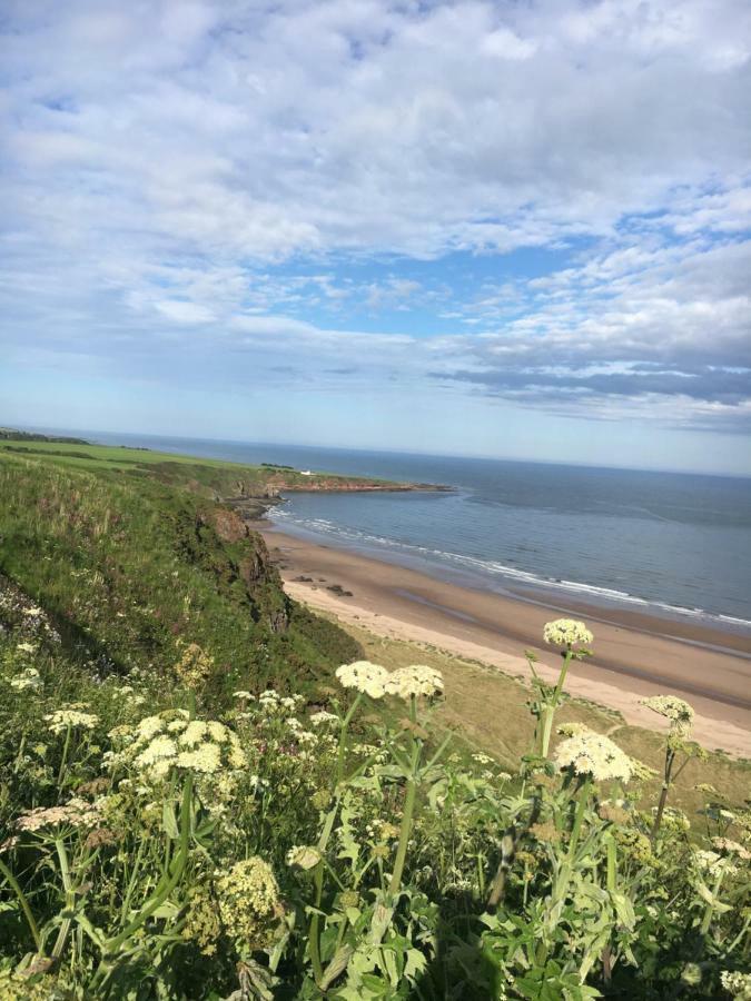 Dunnottar Woods Cottage Stonehaven Luaran gambar